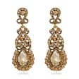 Yellow Crystal & Cubic Zirconia Botany Drop Earrings Fashion