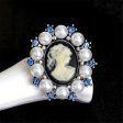 Blue Cubic Zirconia & Silver-Plated Cameo Brooch For Discount