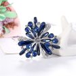 Blue Crystal & Silver-Plated Floral Brooch For Cheap