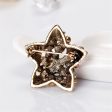 Cubic Zirconia & 18K Gold-Plated Celestial Brooch Fashion